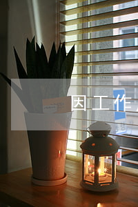 因工作原因造成逾期(工作逾期原因怎么回答)