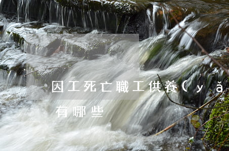因工死亡職工供養(yǎng)親屬的范圍有哪些