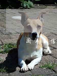 因年費信用卡逾期十幾年