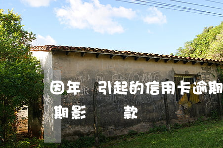 因年費引起的信用卡逾期(信用卡因為年費逾期影響貸款嗎)