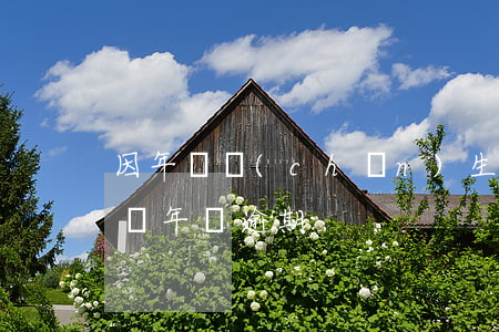 因年費產(chǎn)生150天逾期-因為年費逾期