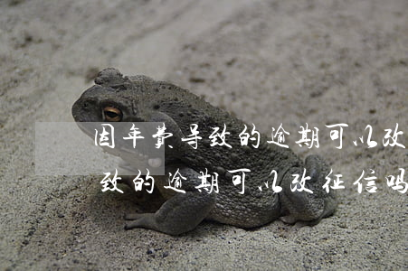 因年费导致的逾期可以改征信吗-因年费导致的逾期可以改征信吗怎么办