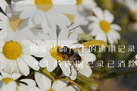 因年费而产生的逾期记录已消除-因年费而产生的逾期记录已消除怎么办