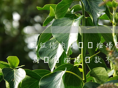 因征信逾期問題按揭貸款不下來-因征信逾期問題按揭貸款不下來怎么辦