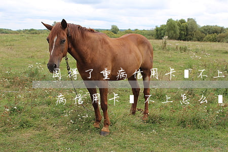 因得了重病信用卡還不上怎么辦-因得了重病信用卡還不上怎么辦呢