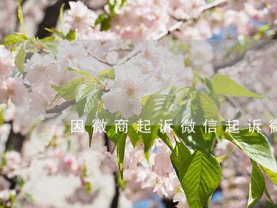 因微商起诉微信(起诉微商成功率大吗)