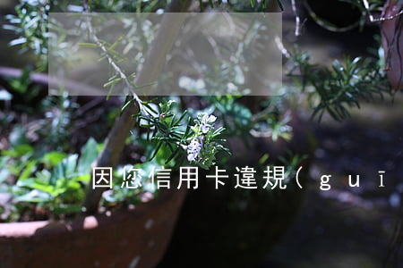 因您信用卡違規(guī)操作已嚴重逾期