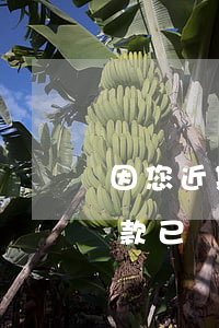 因您近期出現(xiàn)逾期還款(你的欠款已嚴(yán)重逾期)
