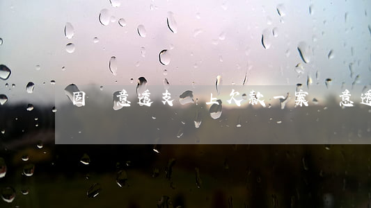 因惡意透支馬上欠款一案（惡意透支和無力償還）