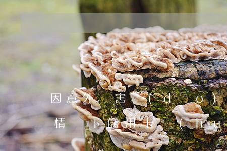 因意外傷害導(dǎo)致信用卡逾期(什么情況下信用卡會(huì)被認(rèn)為嚴(yán)重逾期)