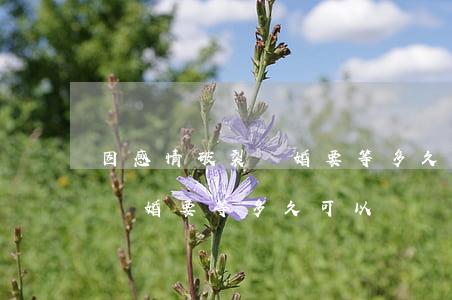 因感情破裂離婚要等多久可以離(因感情破裂離婚要等多久可以離)