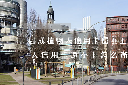 因成植物人信用卡還不上怎么辦-因成植物人信用卡還不上怎么辦呢