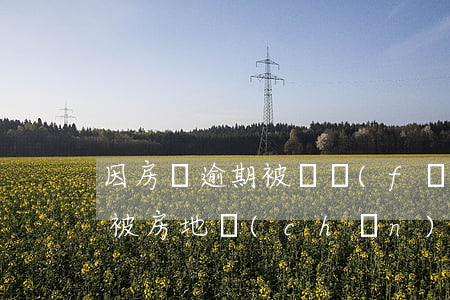 因房貸逾期被開發(fā)商起訴(房貸逾期被房地產(chǎn)公司起訴)