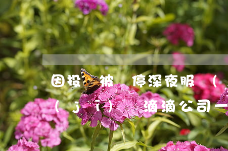 因投訴被暫?！吧钜狗?wù)卡”功能，司機(jī)訴滴滴公司一審勝訴
