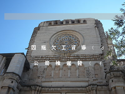 因拖欠工資導(dǎo)致信用卡逾期損失(公司推遲發(fā)工資導(dǎo)致信用卡逾期)