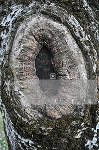 因拖欠工資導致信用卡逾期損失(公司推遲發(fā)工資導致信用卡逾期)