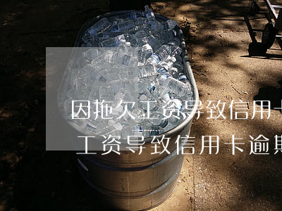因拖欠工资导致信用卡逾期损失(公司推迟发工资导致信用卡逾期)