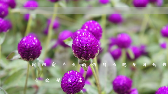 因拘留产生的信用卡逾期(因刑拘逮捕致信用卡逾期未还)