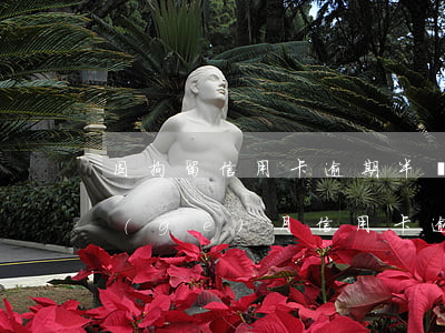 因拘留信用卡逾期半個(gè)月(拘留一個(gè)月信用卡逾期)