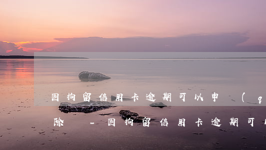 因拘留信用卡逾期可以申請(qǐng)消除嗎-因拘留信用卡逾期可以申請(qǐng)消除嗎知乎