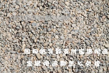 因拘留导致支付宝借呗逾期(因拘留导致支付宝借呗逾期怎么处理)