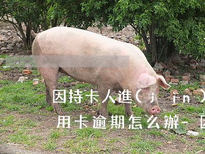 因持卡人進(jìn)監(jiān)獄信用卡逾期怎么辦-因持卡人進(jìn)監(jiān)獄信用卡逾期怎么辦理
