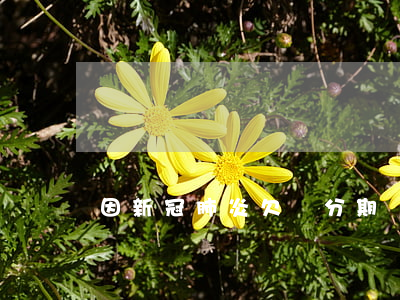 因新冠肺炎欠來分期錢會怎么辦-