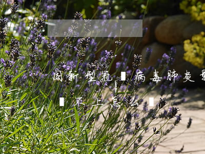 因新型冠狀病毒肺炎影響網(wǎng)貸還不上怎么辦