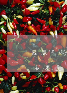因服刑信用卡逾期會加刑嗎（信用卡逾期被刑事愿意坐牢）