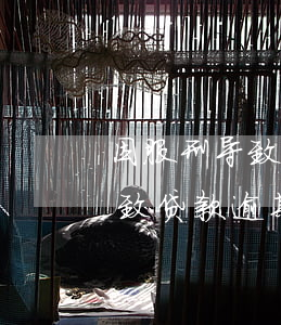 因服刑导致贷款逾期出来无法还-因服刑导致贷款逾期出来无法还款怎么办
