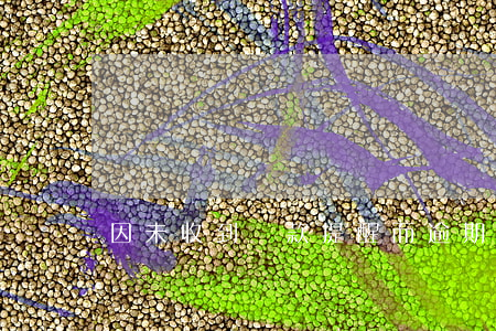 因未收到還款提醒而逾期(如逾期未還)