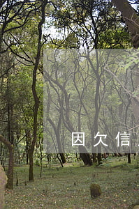 因欠信用卡不還被坐牢