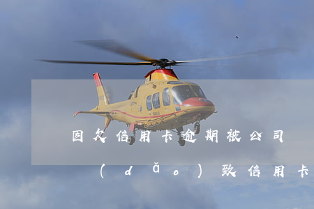 因欠信用卡逾期被公司辭退(因公司拖欠工資導(dǎo)致信用卡逾期)