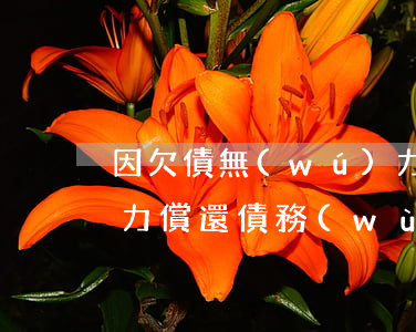 因欠債無(wú)力償還 欠債人無(wú)力償還債務(wù)