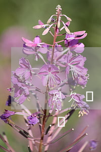 因欠債還不起可以用房產(chǎn)抵債嗎