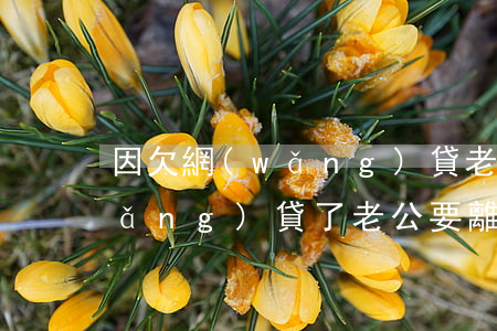 因欠網(wǎng)貸老婆要離婚(欠網(wǎng)貸了老公要離婚)
