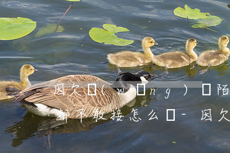 因欠網(wǎng)貸陌生號(hào)碼都不敢接怎么辦-因欠網(wǎng)貸陌生號(hào)碼都不敢接怎么辦呢