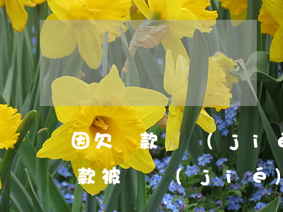 因欠貸款凍結(jié)信用卡嗎(欠銀行貸款被凍結(jié)了)
