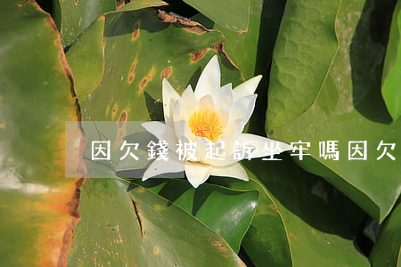 因欠錢被起訴坐牢嗎（因欠錢被起訴坐牢嗎）