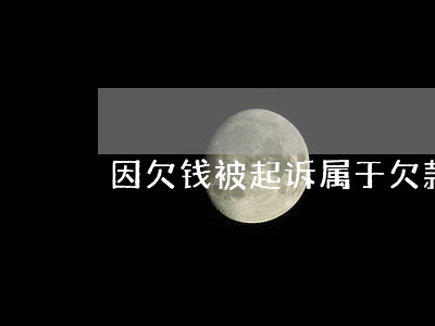 因欠钱被起诉属于(欠款被起诉是刑事案件吗)