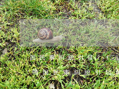 因民事糾紛引發(fā)的斗毆算聚眾斗毆嗎(因民事糾紛引起的打架斗毆)