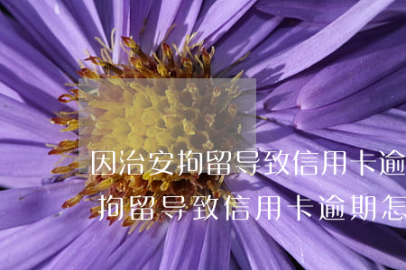 因治安拘留导致信用卡逾期怎么办-因治安拘留导致信用卡逾期怎么办理