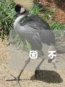 因為不誠信又一賣房人“栽了”