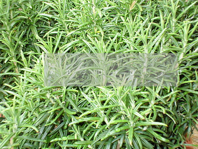 因為二類卡導(dǎo)致貸款逾期(二類卡能貸款嗎)