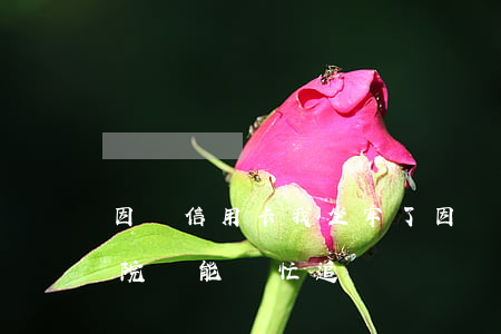 因為信用卡我坐牢了(因為信用卡我坐牢了,法院還能幫忙追債嗎?)