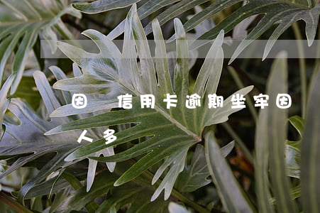 因為信用卡逾期坐牢(因為信用卡逾期坐牢的人多嗎)