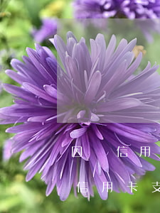 因為信用卡逾期微信被限制支付(微信不能用信用卡支付受限制)