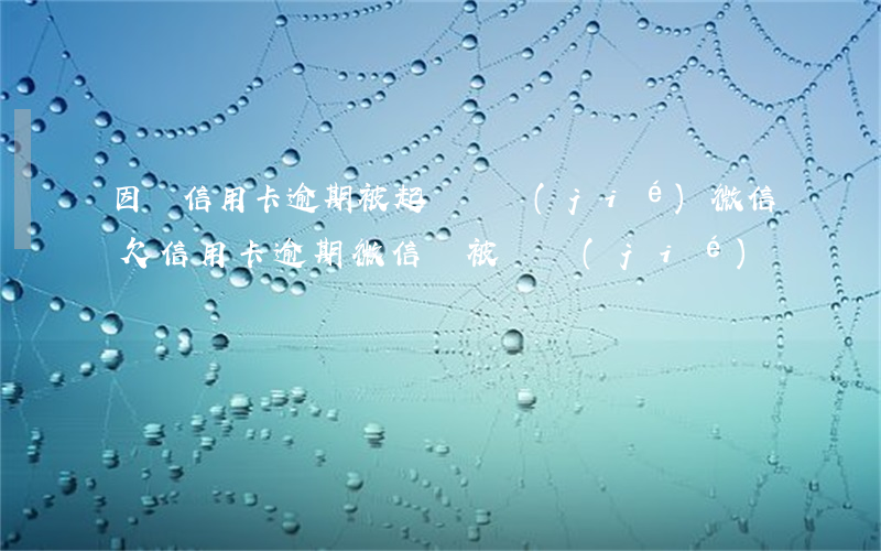 因為信用卡逾期被起訴凍結(jié)微信(欠信用卡逾期微信會被凍結(jié)嗎)