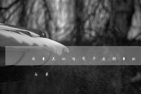 因為其他信用卡逾期導致(信用卡逾期帶來的后果)