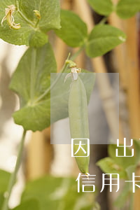 因為出了事導致信用卡沒還逾期嚴重怎么辦（信用卡逾期后無法解決）